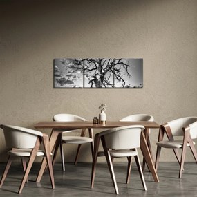 Kép - fekete fehér fa (órával) (90x30 cm)
