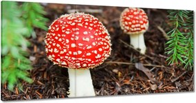 Vászonkép 180x90 Legyek Mérgező szépség