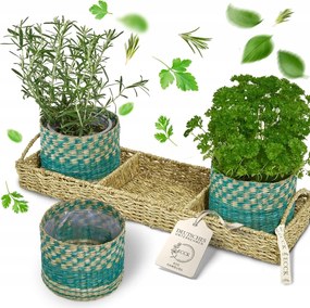 Virágcserép, fűszernövény cserép x 3 db. Alátéttel Ecck boho Menta Zöld