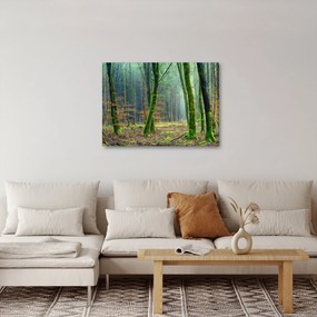 Az erdő képe (70x50 cm)