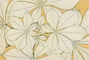 Fotótapéta Flizelin Fal a Hálószobába Gesztenye levelek 104x70 Ragasztó