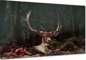 Vászonkép 120x80 Szarvas felszarvazott