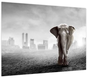 Kép -Elefánt egy nagyvárosban, fekete-fehér változat (70x50 cm)
