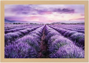 Poszter Keret Fa Tájkép Mező Ültetvény Virágok Levendula Lila 60x40