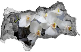 3d fali matrica lyuk a falban Orchidea nd-b-143985624