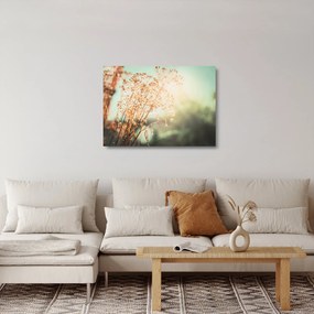 Üveg kép - Növények eső után (70x50 cm)