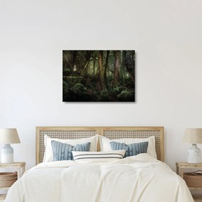 Kép - Titokzatos erdő (üvegen) (70x50 cm)