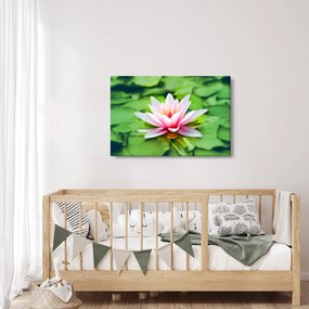 A tavirózsa képe a felszínen (90x60 cm)