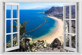 Poszterek 90x60 Pillantás a kaktusz mögül