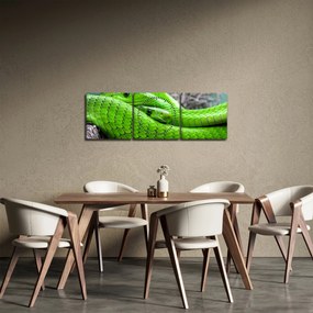 Zöld kígyók képe (órával) (90x30 cm)