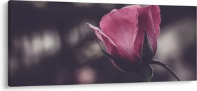 Kép - Rózsa virág részlete (120x50 cm)