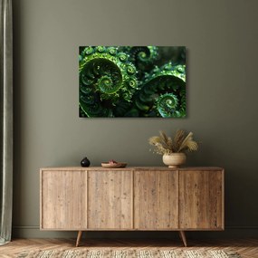 Kép - Spirálok (90x60 cm)