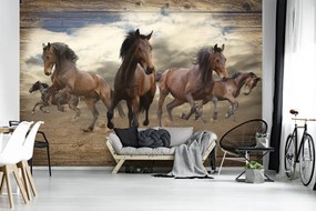 Fotótapéta - Vágtató ló fa táblákon (152,5x104 cm)