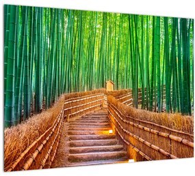 Kép - Japán bambusz erdő (üvegen) (70x50 cm)