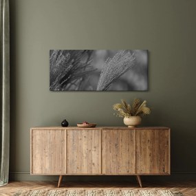 Kép - Szárított pampafű (120x50 cm)