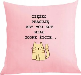 Párna párnahuzat, hogy macskámnak méltó élete legyen