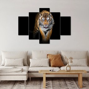 Kép - Tigris (150x105 cm)