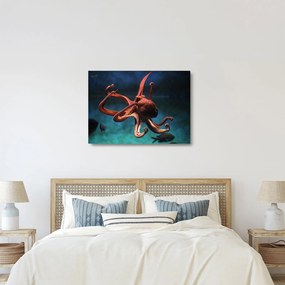 Üveg kép - Octopus (70x50 cm)