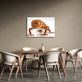 Gyík képe (70x50 cm)