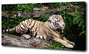 Vászonkép Tiger a rock oc-118161704