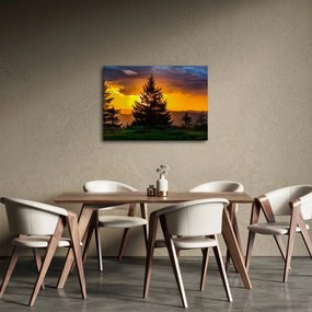 Kép - tűlevelűek (70x50 cm)