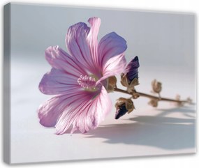 Vászonkép Virágok Rózsaszín Természet Nappali Hálószoba Vászon 60x40