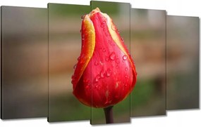 Vászonkép 100x60 Piros-sárga tulipán