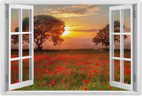 Poszterek 60x40 Pipacsok a mezőn Tájkép