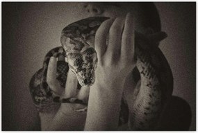 Poszterek 120x80 Aktok Meztelenség Szerelem Fotó