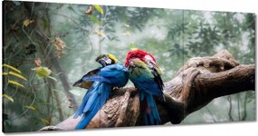 Vászonkép 180x90 Szerelmes papagájok