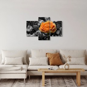 Virág képe (90x60 cm)