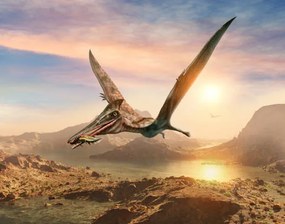 Illusztráció Pterosaur scene 3D illustration, Warpaintcobra