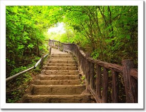 Poszterek keretben 40x30 Lépcsők az erdőbe