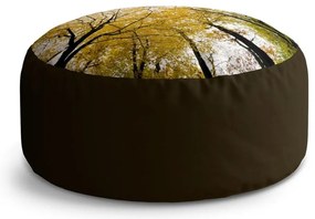 Circle zsámoly fák koronái, sárga