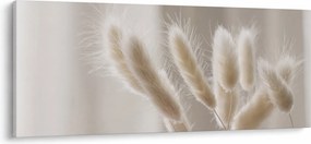 Kép - Nyúl farok (120x50 cm)