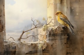 Poszter 91,5x60cm Kanári a szélen