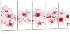 5-részes kép cseresznye virág
