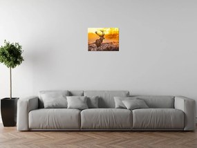Gario Vászonkép Eros szarvas Méret: 100 x 70 cm