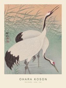 Reprodukció Two Cranes (Special Edition) - Ohara Koson