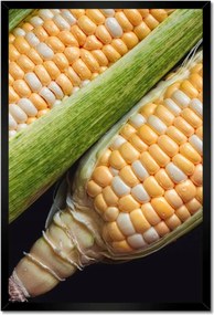 Poszterek keretben 40x60 Két kukoricacsutka