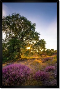 Poszterek keretben 40x60 Tájkép Látvány