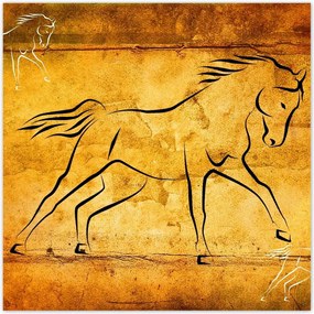 Poszterek 70x70 Galoppozó ló