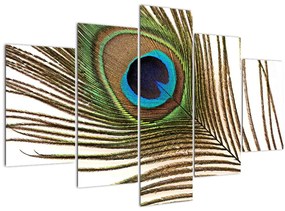Pávatoll képe (150x105 cm)