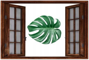 Poszter 60x40 Lyukas szörny levél