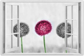 Poszterek 90x60 Rózsaszín pitypang virág