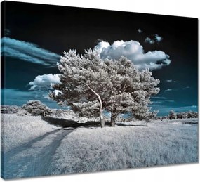 Vászonkép 50x40 Fa