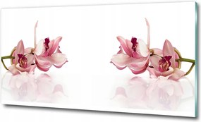 Fotó vászonkép edzett üveg Kália 100x70