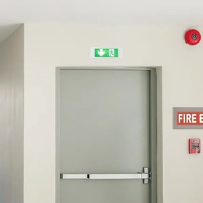 LED Vészvilágítás EMERGENCY EXIT LED/3,8W/230V 6000K