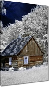 Vászonkép 80x120 Rönkház