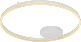 AZZARDO 4958 HALO Kerek Mennyezeti Lámpa LED IP20